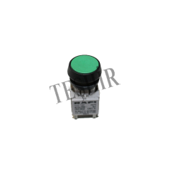 RAFI 1.20 122 |  250V AC YEŞİL YAYLI BUTON
