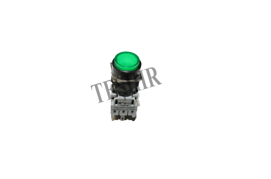 KALICI YEŞİL 24V DC BUTON