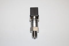 DMP 331
