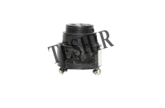 24VDC BUZZER